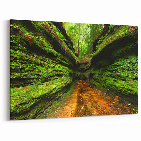 Scenic Indiana Wall Art - Lush Green Canyon Indiana Scenery Prints