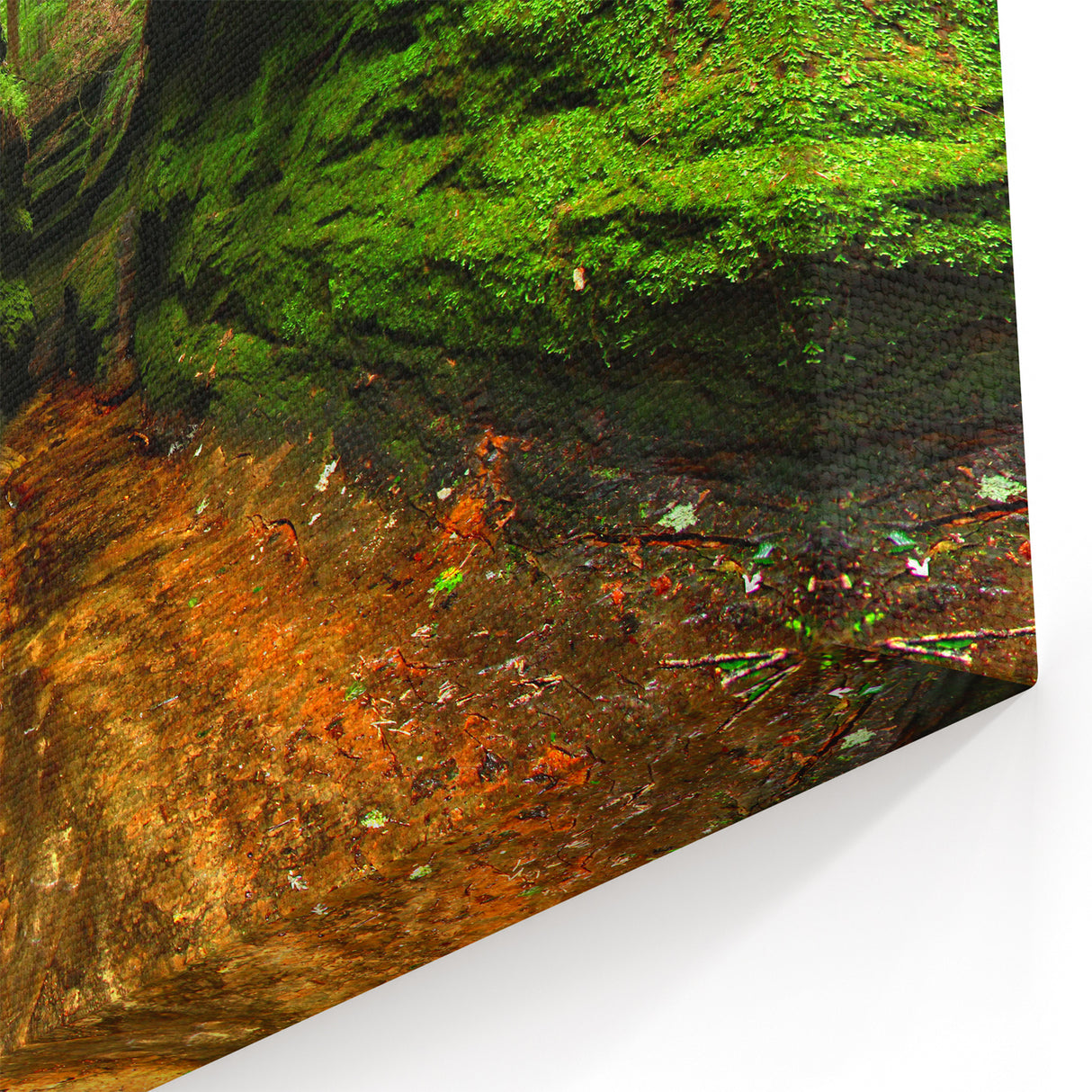 Scenic Indiana Wall Art - Lush Green Canyon Indiana Scenery Prints