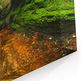 Scenic Indiana Wall Art - Lush Green Canyon Indiana Scenery Prints