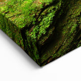 Scenic Indiana Wall Art - Lush Green Canyon Indiana Scenery Prints
