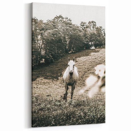 Vintage Farmhouse Horse Running Art - Rustic Country Style Wall Decor