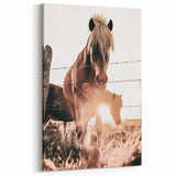 Sunset Horse Portrait Art - Rustic Farmhouse Wall Decor Print