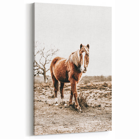 Rustic Horse in Field Art - Vintage Farmhouse Wall Decor Print