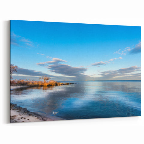 Chesapeake Bay Wall Art - Serene Shoreline Landscape in Canvas Prints