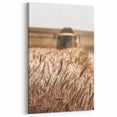 Golden Wheat Field Art - Rustic Farmhouse Wall Decor Print