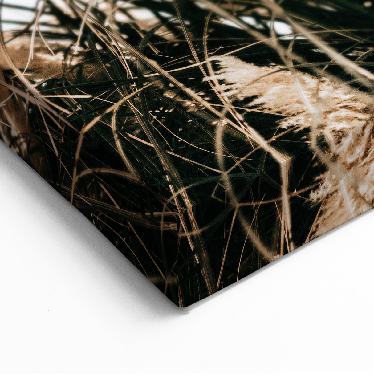 Elegant Wild Grass Art - Rustic Farmhouse Wall Decor Print