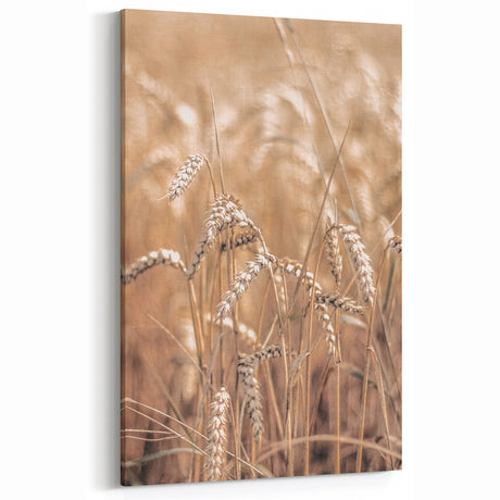 Farmhouse Wall Art | Rustic Wheat in Sunlight | Vintage Country Decor