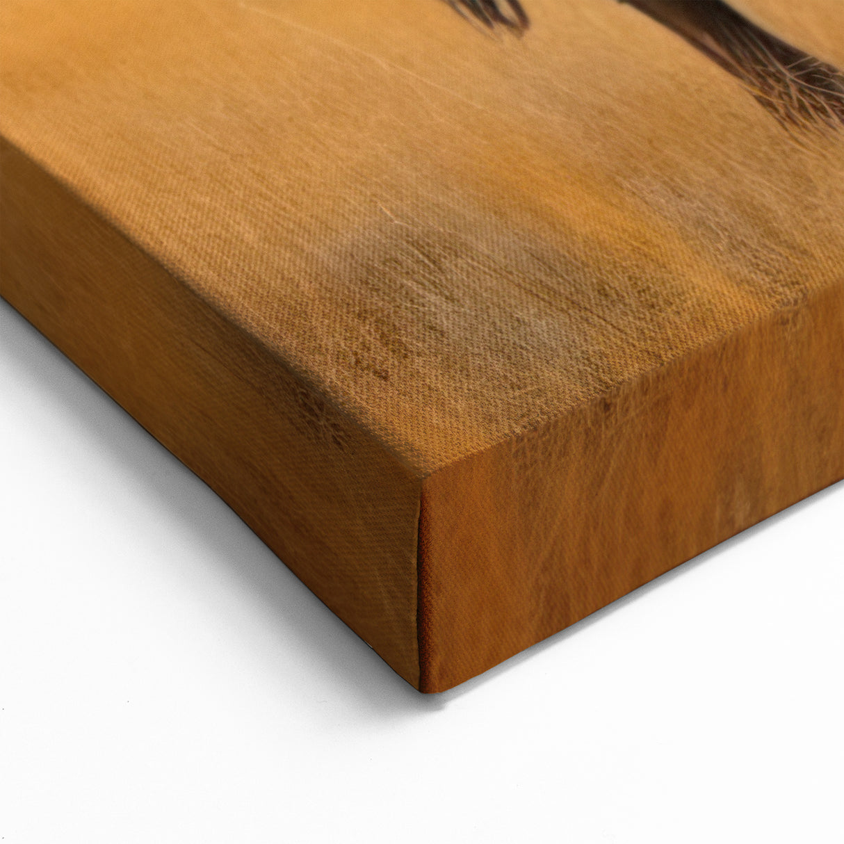 Custom Oklahoma Art - Majestic Buffalo in Prairie Landscape Canvas Print