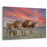 Oklahoma Nature Art - Longhorn Cattle at Sunset Canvas and Framed Prints