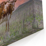 Oklahoma Nature Art - Longhorn Cattle at Sunset Canvas and Framed Prints