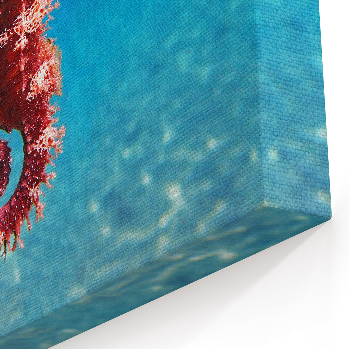 Mediterranean Sea Wall Art - Vibrant Seahorse Underwater Canvas