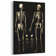 Dark Academia Wall Art: Skeleton Family in Shadows, Gothic Print