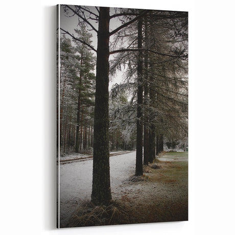 Rustic Winter Forest Wall Art | Farmhouse Nature Scene for Cozy Decor