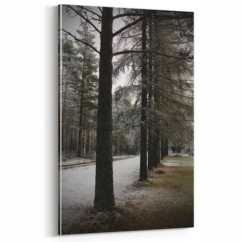 Rustic Winter Forest Wall Art | Farmhouse Nature Scene for Cozy Decor