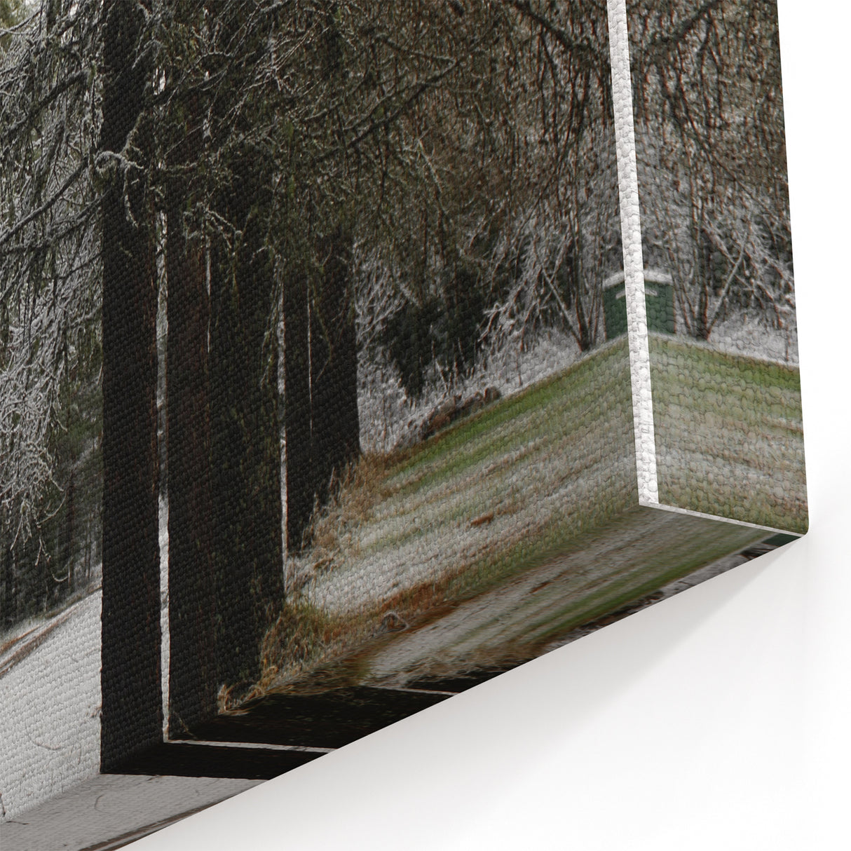 Rustic Winter Forest Wall Art | Farmhouse Nature Scene for Cozy Decor