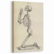 Gothic Wall Art | Medieval Gothic Canvas with Skeleton Illustration