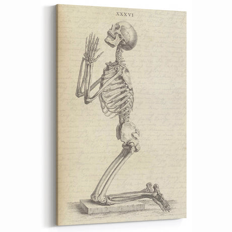 Gothic Wall Art | Medieval Gothic Canvas with Skeleton Illustration
