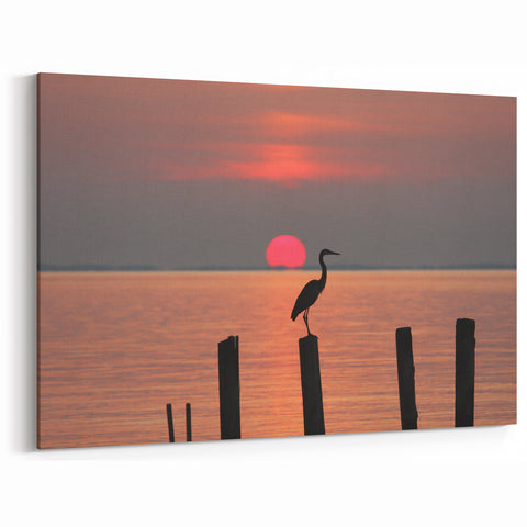 Chesapeake Bay Framed Art - Stunning Sunset Bird Silhouette in Wall Decor