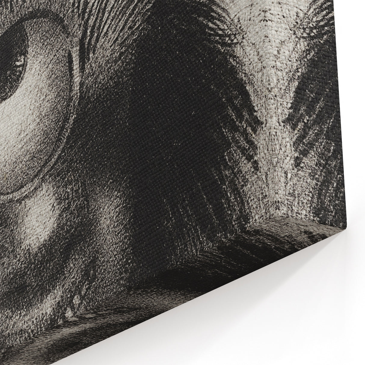 Gothic Wall Art - Cyclops Portrait in Mysterious Vintage Gothic Print