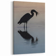 Chesapeake Bay Scenic Art - Bird Reflection in Calm Waters Canvas Prints