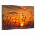 Chesapeake Bay Rolled Canvas - Fiery Sunset Through Grass Scenic Art
