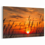 Chesapeake Bay Rolled Canvas - Fiery Sunset Through Grass Scenic Art