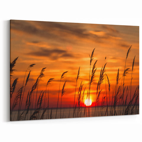 Chesapeake Bay Rolled Canvas - Fiery Sunset Through Grass Scenic Art