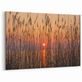 Chesapeake Bay Framed Art - Sunset Through Grass Scenic Coastal Print