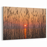 Chesapeake Bay Framed Art - Sunset Through Grass Scenic Coastal Print