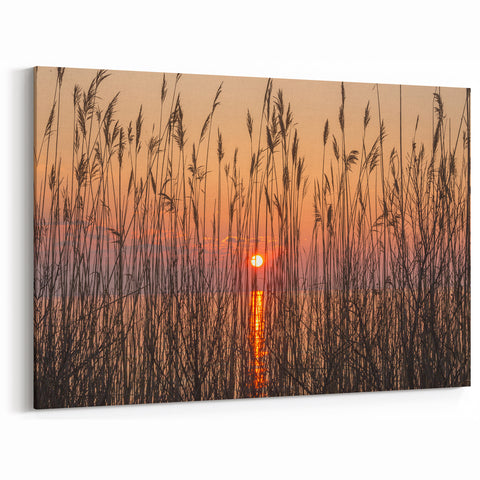 Chesapeake Bay Framed Art - Sunset Through Grass Scenic Coastal Print