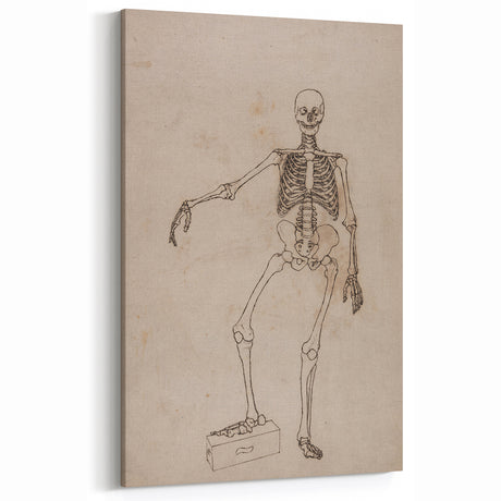 Gothic Wall Art | Skeleton Illustration | Dark Decor Style