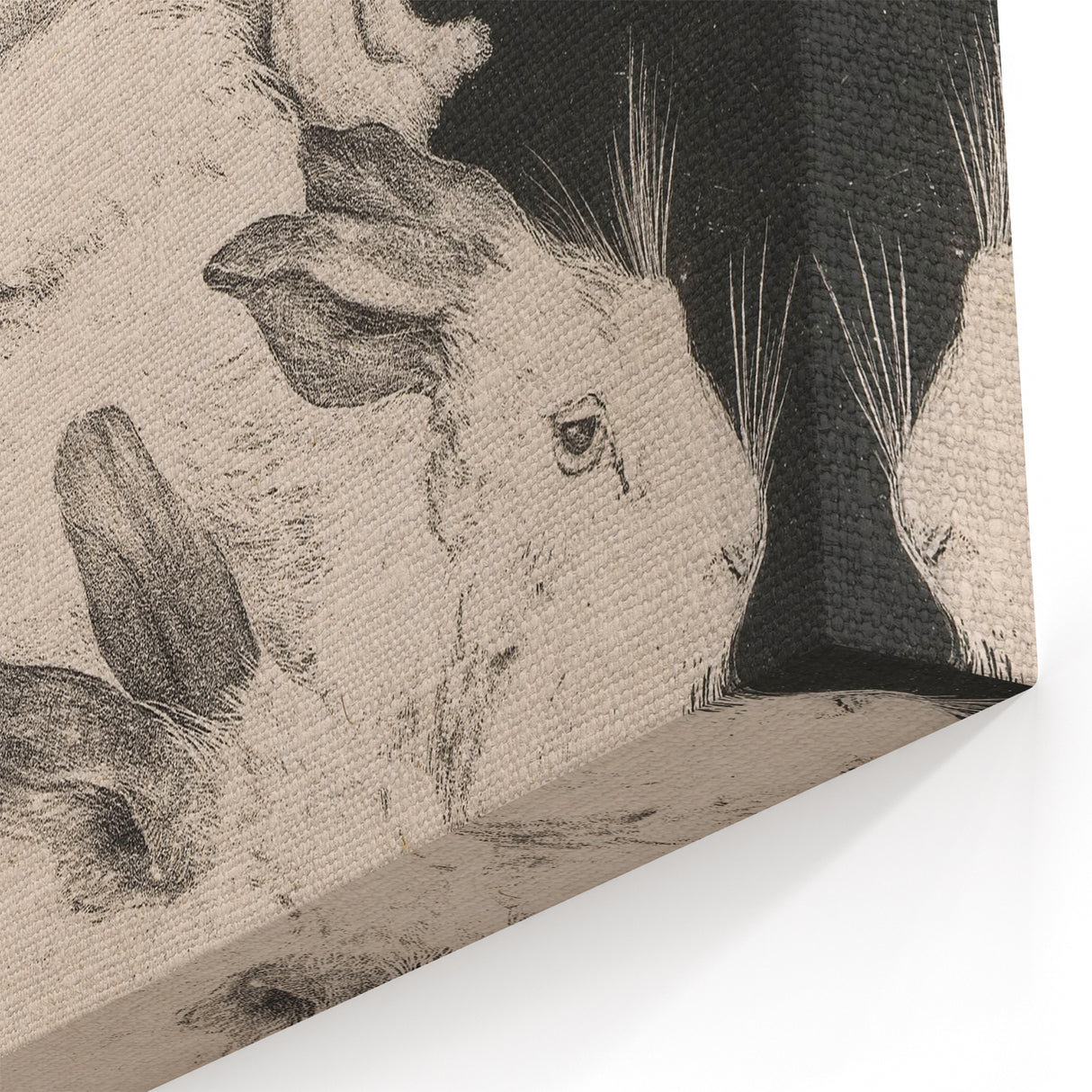 Gothic Wall Art | Surreal Rabbit Illustration | Dark Decor Style