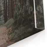 Rustic Wall Art - Forest Path with Tall Pines for Farmhouse Decor