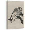 Gothic Bird Illustration – Dark and Elegant Gothic Wall Art Canvas Print