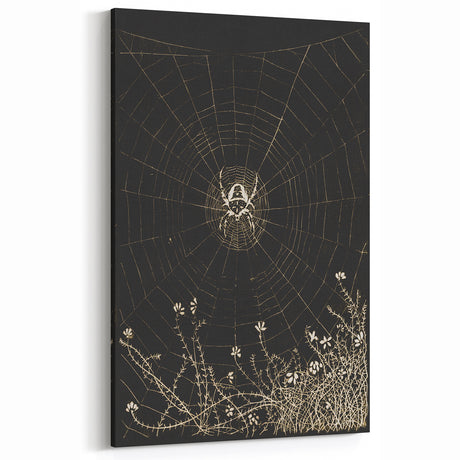 Gothic Spider Web Art - Dark Decor Style and Vintage Gothic Prints