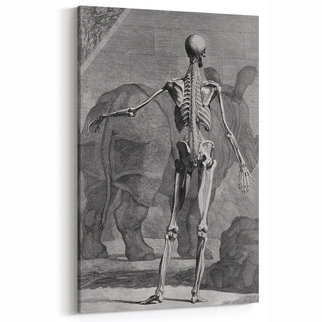 Gothic Skeleton and Rhinoceros Study - Dark Decor and Vintage Gothic Art