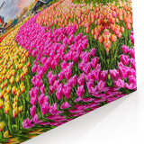 Windmill Wall Art - Tulip Field Artwork in Holland
