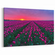 Tulip Field Artwork - Netherlands Travel Poster at Sunset