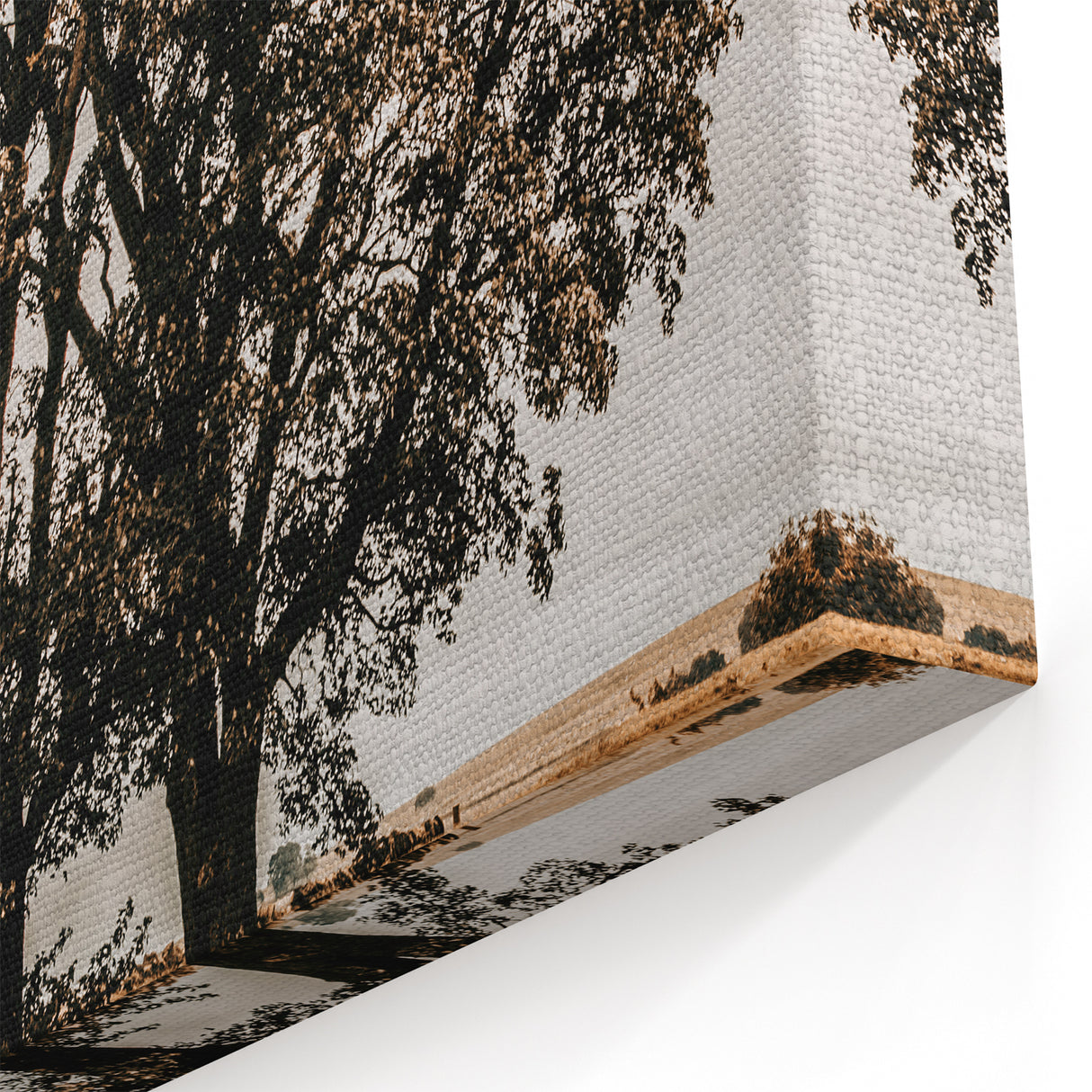 Farmhouse Wall Art – Majestic Trees in Rustic Country Landscape