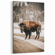 Farmhouse Wall Art – Majestic Bison in Winter Landscape for Rustic Homes