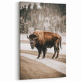 Farmhouse Wall Art – Majestic Bison in Winter Landscape for Rustic Homes