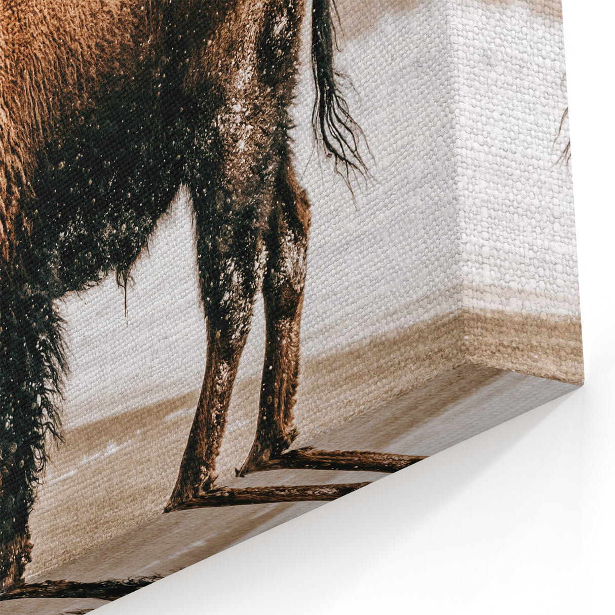 Farmhouse Wall Art – Majestic Bison in Winter Landscape for Rustic Homes