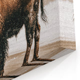 Farmhouse Wall Art – Majestic Bison in Winter Landscape for Rustic Homes