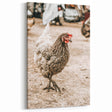 Farmhouse Wall Art – Rustic Chicken in Farmyard Scene for Country Decor