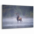Pennsylvania Wildlife Art - Majestic Elk in Mist Pennsylvania Nature Art