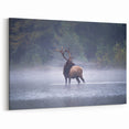 Pennsylvania Wildlife Art - Majestic Elk in Mist Pennsylvania Nature Art