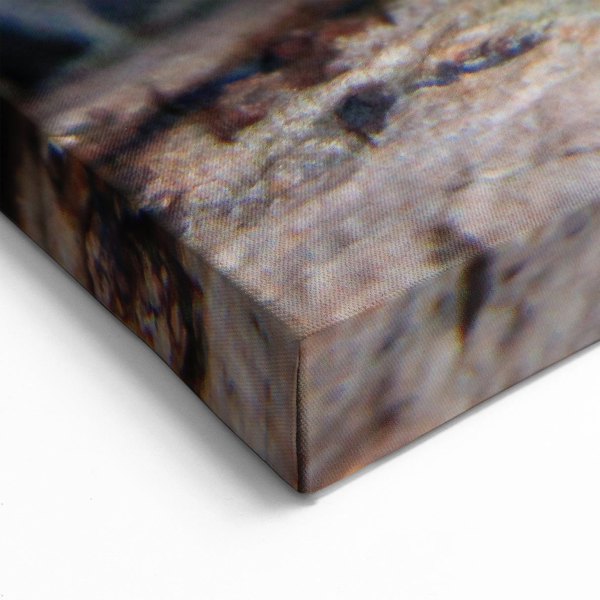 Pennsylvania Nature Art - Close-Up of Vibrant Mushroom Patterns Framed Art
