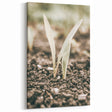 Farmhouse Wall Art: Rustic Country Charm with New Growth, Vintage Style