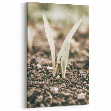 Farmhouse Wall Art: Rustic Country Charm with New Growth, Vintage Style