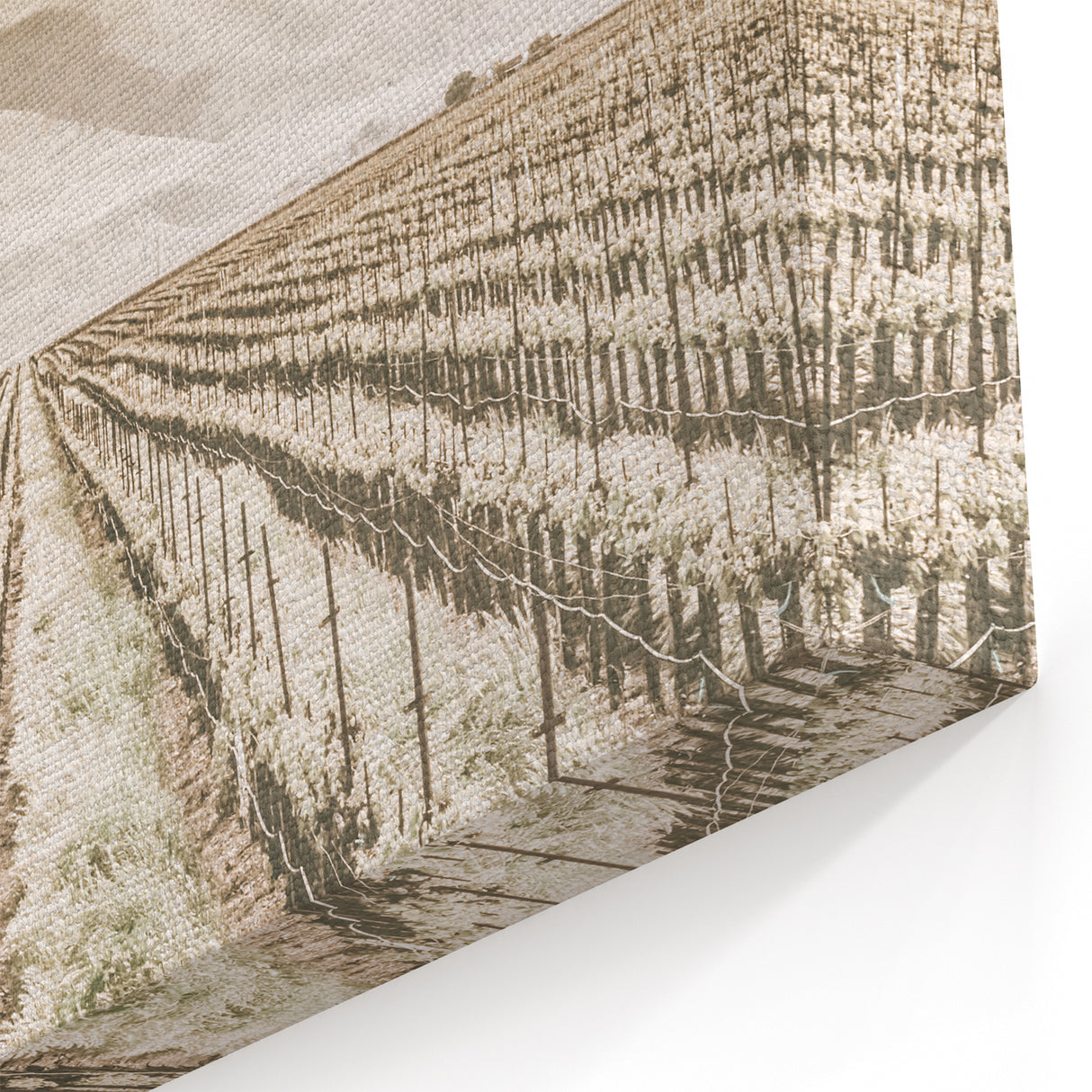 Farmhouse Wall Art: Serene Vineyard Landscape, Rustic Country Decor